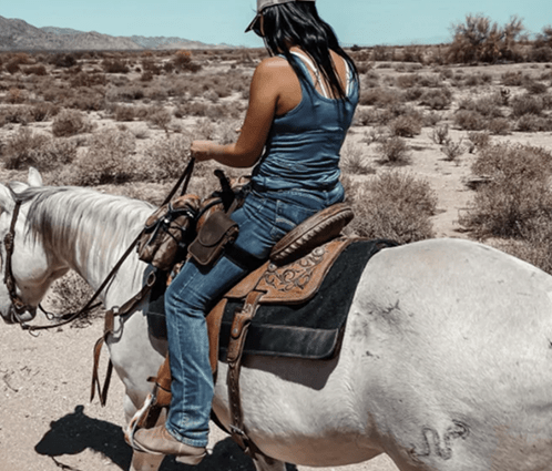 The leather holsters