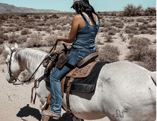 LEATHER HOLSTERS