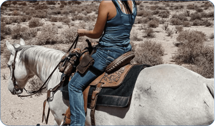 The Horse Holster: Premium Leather
